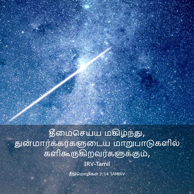 Picture 03 - நீதிமொழிகள் 2:14 TAMIRV - தீமைசெய்ய - Bible Verse Picture