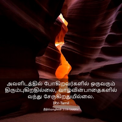 Picture 03 - நீதிமொழிகள் 2:19 TAMIRV - அவளிடத்தில் - Bible Verse Picture