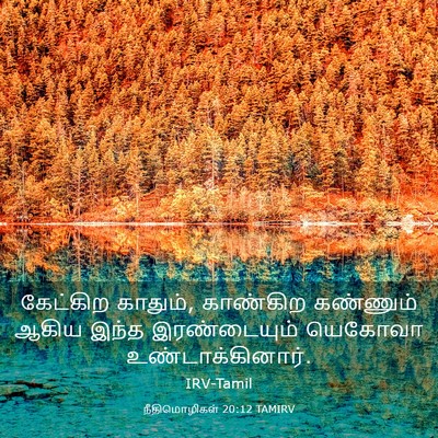 Picture 03 - நீதிமொழிகள் 20:12 TAMIRV - கேட்கிற காதும், - Bible Verse Picture
