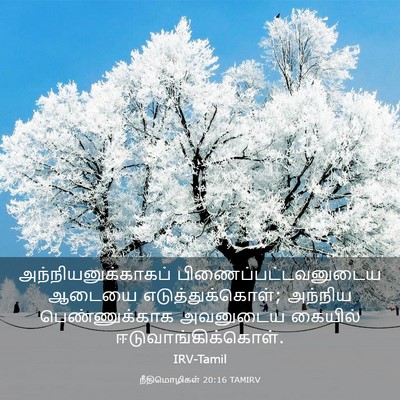 Picture 03 - நீதிமொழிகள் 20:16 TAMIRV - அந்நியனுக்காகப் - Bible Verse Picture