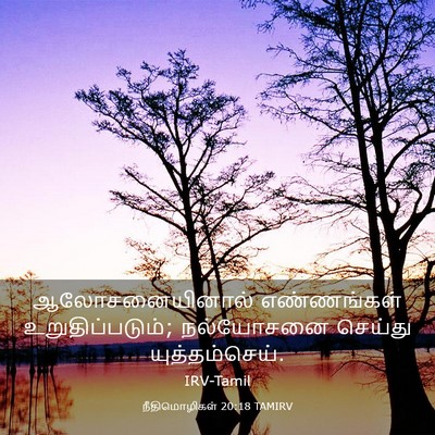 Picture 03 - நீதிமொழிகள் 20:18 TAMIRV - ஆலோசனையினால் - Bible Verse Picture