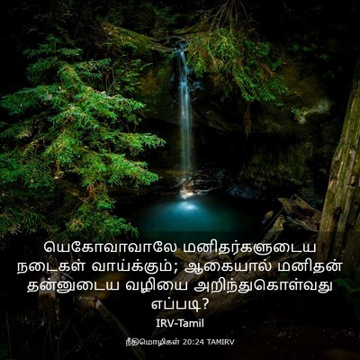 Picture 03 - நீதிமொழிகள் 20:24 TAMIRV - யெகோவாவாலே - Bible Verse Picture