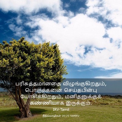 Picture 03 - நீதிமொழிகள் 20:25 TAMIRV - பரிசுத்தமானதை - Bible Verse Picture