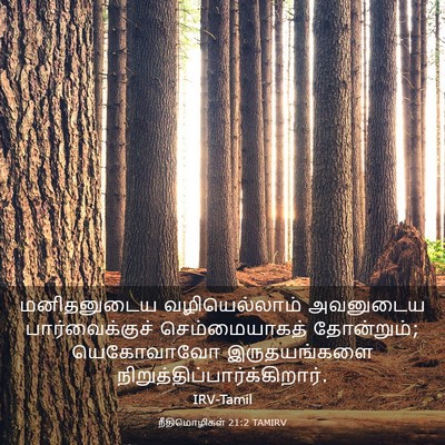 Picture 03 - நீதிமொழிகள் 21:2 TAMIRV - மனிதனுடைய - Bible Verse Picture