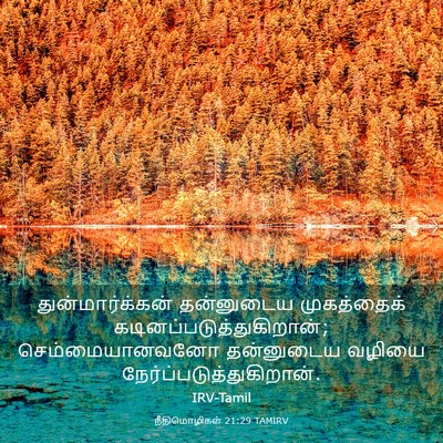 Picture 03 - நீதிமொழிகள் 21:29 TAMIRV - துன்மார்க்கன் - Bible Verse Picture