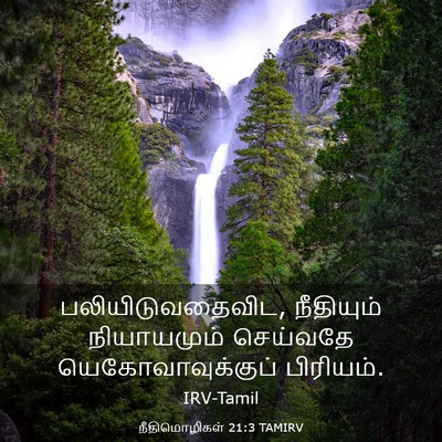 Picture 03 - நீதிமொழிகள் 21:3 TAMIRV - பலியிடுவதைவிட, - Bible Verse Picture