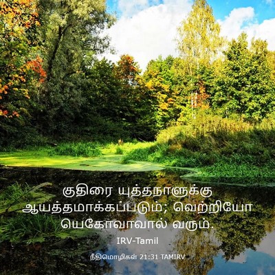 Picture 03 - நீதிமொழிகள் 21:31 TAMIRV - குதிரை - Bible Verse Picture