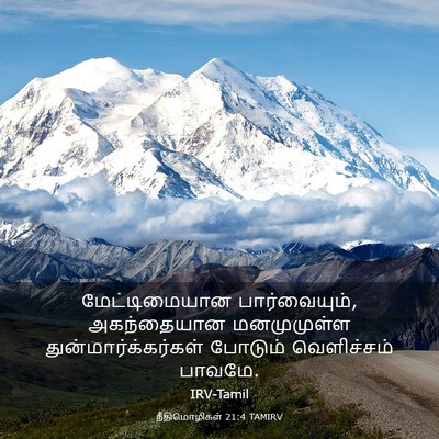 Picture 03 - நீதிமொழிகள் 21:4 TAMIRV - மேட்டிமையான - Bible Verse Picture