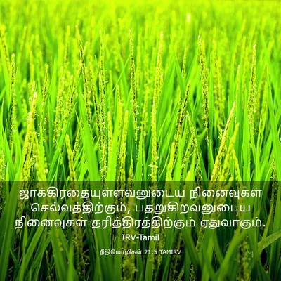 Picture 03 - நீதிமொழிகள் 21:5 TAMIRV -  - Bible Verse Picture