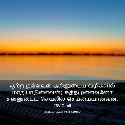 Picture 03 - நீதிமொழிகள் 21:8 TAMIRV - குற்றமுள்ளவன் - Bible Verse Picture