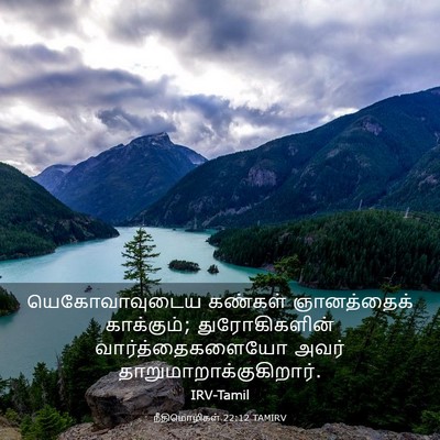Picture 03 - நீதிமொழிகள் 22:12 TAMIRV - யெகோவாவுடைய - Bible Verse Picture