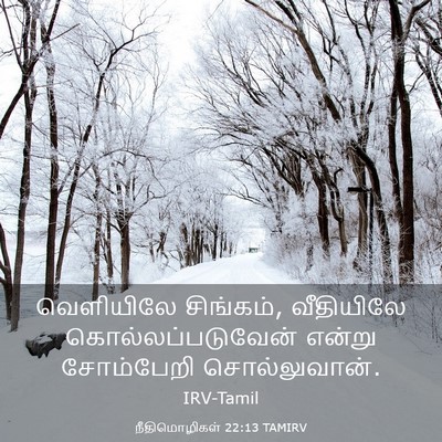 Picture 03 - நீதிமொழிகள் 22:13 TAMIRV - வெளியிலே சிங்கம், - Bible Verse Picture