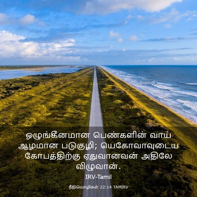 Picture 03 - நீதிமொழிகள் 22:14 TAMIRV - ஒழுங்கீனமான - Bible Verse Picture