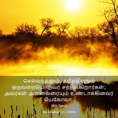 Picture 03 - நீதிமொழிகள் 22:2 TAMIRV - செல்வந்தனும், - Bible Verse Picture