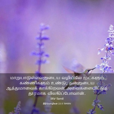 Picture 03 - நீதிமொழிகள் 22:5 TAMIRV -  - Bible Verse Picture