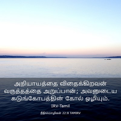 Picture 03 - நீதிமொழிகள் 22:8 TAMIRV - அநியாயத்தை - Bible Verse Picture