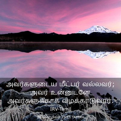 Picture 03 - நீதிமொழிகள் 23:11 TAMIRV - அவர்களுடைய - Bible Verse Picture