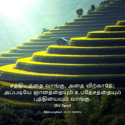 Picture 03 - நீதிமொழிகள் 23:23 TAMIRV - சத்தியத்தை - Bible Verse Picture