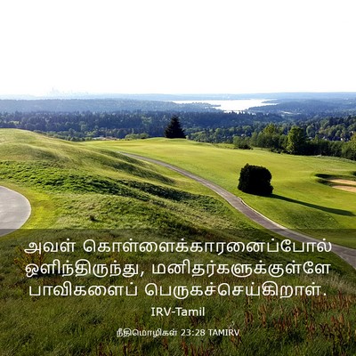 Picture 03 - நீதிமொழிகள் 23:28 TAMIRV - அவள் - Bible Verse Picture