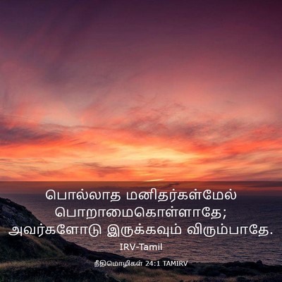 Picture 03 - நீதிமொழிகள் 24:1 TAMIRV - பொல்லாத - Bible Verse Picture