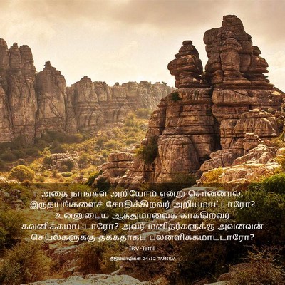 Picture 03 - நீதிமொழிகள் 24:12 TAMIRV - அதை நாங்கள் - Bible Verse Picture