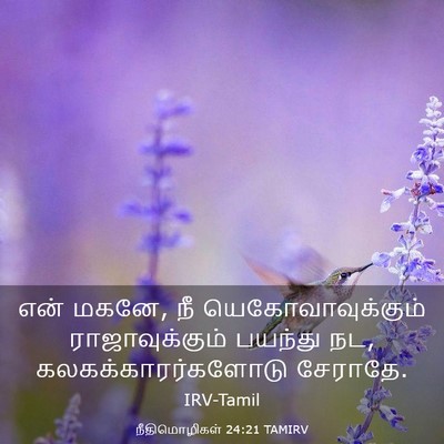 Picture 03 - நீதிமொழிகள் 24:21 TAMIRV - என் மகனே, நீ - Bible Verse Picture