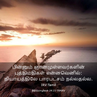 Picture 03 - நீதிமொழிகள் 24:23 TAMIRV - பின்னும் - Bible Verse Picture