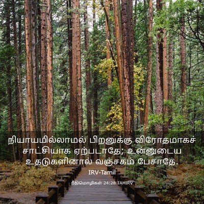 Picture 03 - நீதிமொழிகள் 24:28 TAMIRV - நியாயமில்லாமல் - Bible Verse Picture