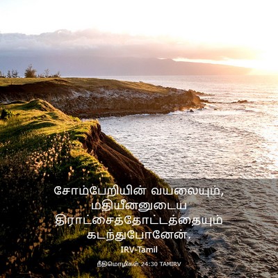 Picture 03 - நீதிமொழிகள் 24:30 TAMIRV - சோம்பேறியின் - Bible Verse Picture