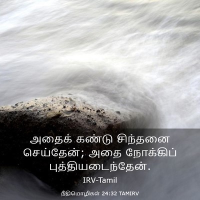 Picture 03 - நீதிமொழிகள் 24:32 TAMIRV - அதைக் கண்டு - Bible Verse Picture