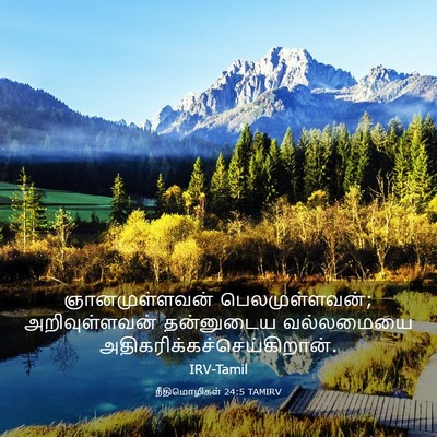 Picture 03 - நீதிமொழிகள் 24:5 TAMIRV - ஞானமுள்ளவன் - Bible Verse Picture