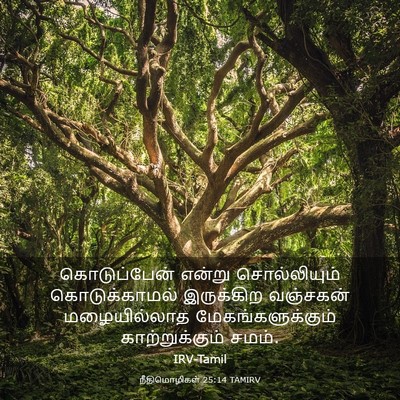 Picture 03 - நீதிமொழிகள் 25:14 TAMIRV - கொடுப்பேன் என்று - Bible Verse Picture
