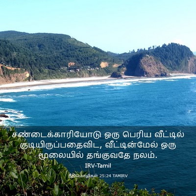 Picture 03 - நீதிமொழிகள் 25:24 TAMIRV - சண்டைக்காரியோடு - Bible Verse Picture