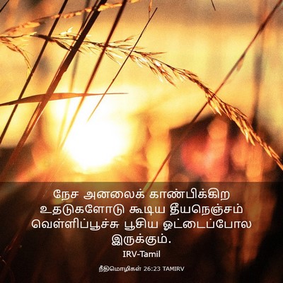 Picture 03 - நீதிமொழிகள் 26:23 TAMIRV - நேச அனலைக் - Bible Verse Picture