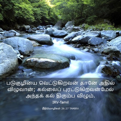 Picture 03 - நீதிமொழிகள் 26:27 TAMIRV - படுகுழியை - Bible Verse Picture