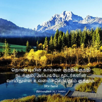 Picture 03 - நீதிமொழிகள் 26:7 TAMIRV - நொண்டியின் - Bible Verse Picture