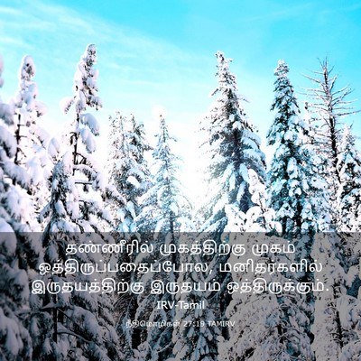 Picture 03 - நீதிமொழிகள் 27:19 TAMIRV - தண்ணீரில் - Bible Verse Picture