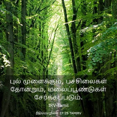 Picture 03 - நீதிமொழிகள் 27:25 TAMIRV - புல் முளைக்கும், - Bible Verse Picture