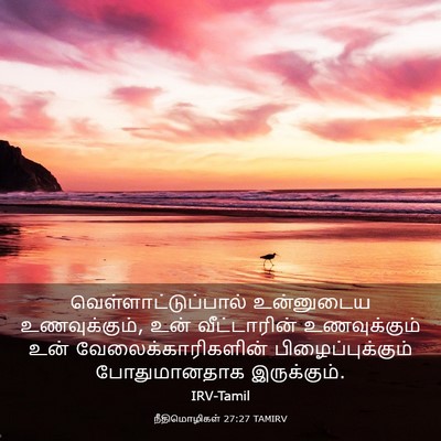 Picture 03 - நீதிமொழிகள் 27:27 TAMIRV - வெள்ளாட்டுப்பால் - Bible Verse Picture