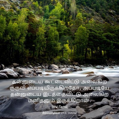 Picture 03 - நீதிமொழிகள் 27:8 TAMIRV - தன்னுடைய - Bible Verse Picture