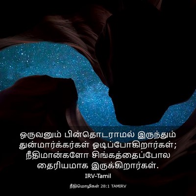 Picture 03 - நீதிமொழிகள் 28:1 TAMIRV - ஒருவனும் - Bible Verse Picture