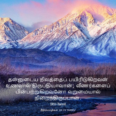Picture 03 - நீதிமொழிகள் 28:19 TAMIRV - தன்னுடைய - Bible Verse Picture