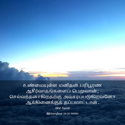 Picture 03 - நீதிமொழிகள் 28:20 TAMIRV - உண்மையுள்ள மனிதன் - Bible Verse Picture