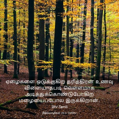 Picture 03 - நீதிமொழிகள் 28:3 TAMIRV - ஏழைகளை ஒடுக்குகிற - Bible Verse Picture