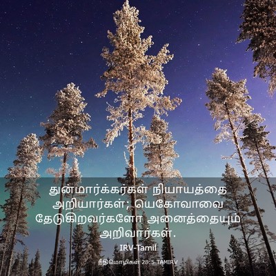 Picture 03 - நீதிமொழிகள் 28:5 TAMIRV - துன்மார்க்கர்கள் - Bible Verse Picture