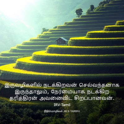 Picture 03 - நீதிமொழிகள் 28:6 TAMIRV - இருவழிகளில் - Bible Verse Picture