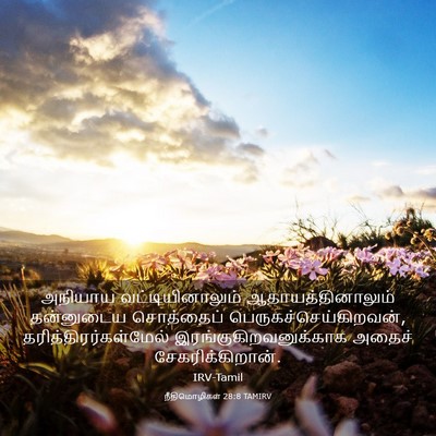 Picture 03 - நீதிமொழிகள் 28:8 TAMIRV - அநியாய - Bible Verse Picture