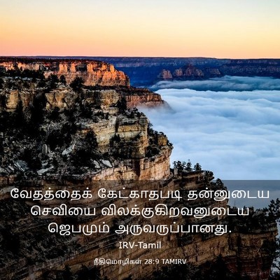 Picture 03 - நீதிமொழிகள் 28:9 TAMIRV - வேதத்தைக் - Bible Verse Picture