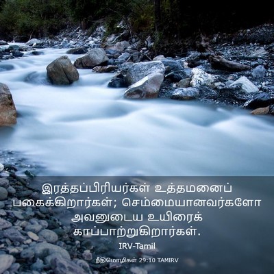 Picture 03 - நீதிமொழிகள் 29:10 TAMIRV -  - Bible Verse Picture