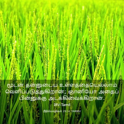 Picture 03 - நீதிமொழிகள் 29:11 TAMIRV - மூடன் தன்னுடைய - Bible Verse Picture